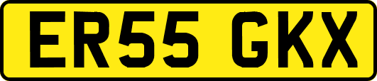 ER55GKX