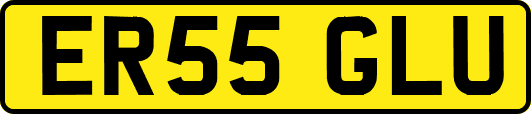 ER55GLU