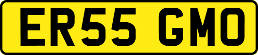 ER55GMO