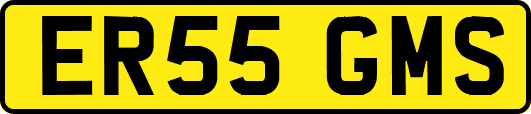 ER55GMS