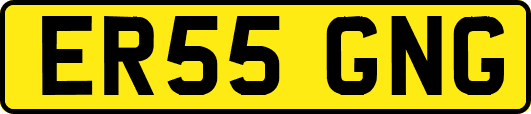 ER55GNG