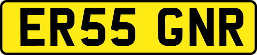 ER55GNR
