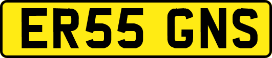 ER55GNS