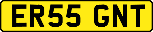 ER55GNT