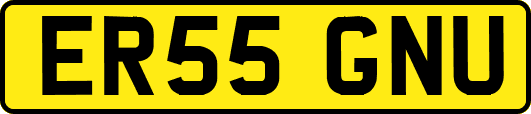 ER55GNU