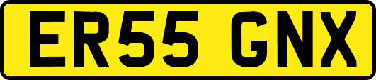 ER55GNX