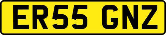 ER55GNZ