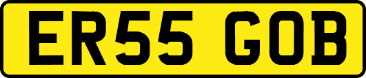 ER55GOB