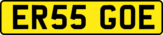 ER55GOE