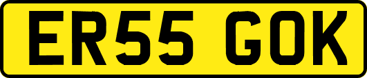 ER55GOK