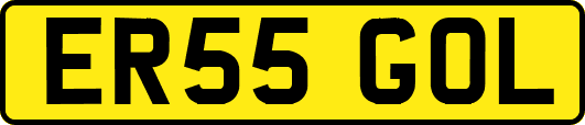 ER55GOL