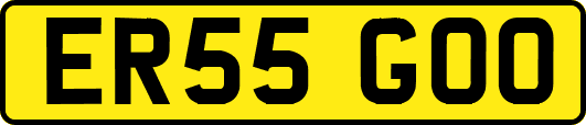 ER55GOO