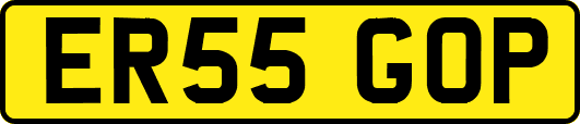 ER55GOP
