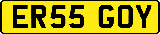 ER55GOY