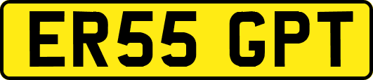 ER55GPT