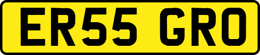 ER55GRO