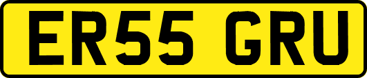 ER55GRU