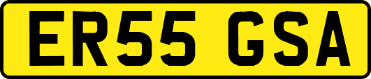 ER55GSA