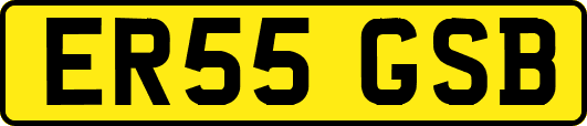 ER55GSB