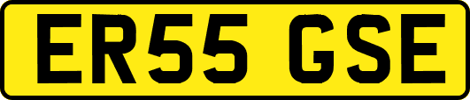 ER55GSE