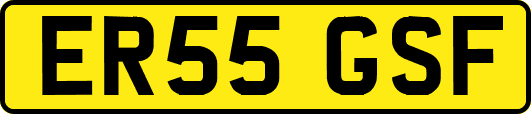 ER55GSF