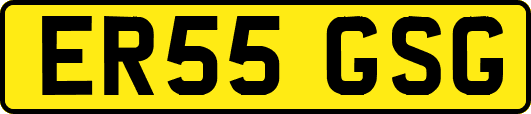 ER55GSG