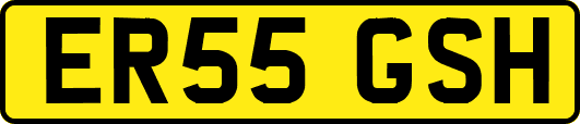 ER55GSH