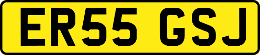 ER55GSJ