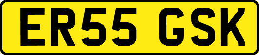 ER55GSK