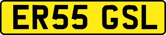 ER55GSL