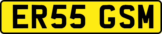 ER55GSM