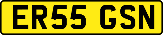 ER55GSN