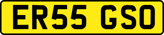 ER55GSO