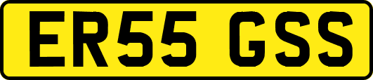 ER55GSS