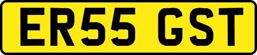 ER55GST