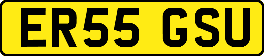 ER55GSU