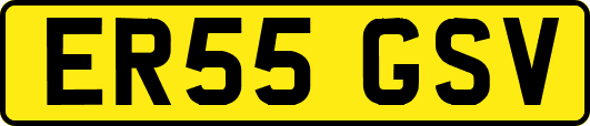 ER55GSV