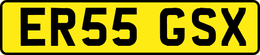 ER55GSX