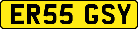 ER55GSY