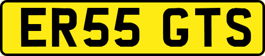 ER55GTS