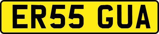 ER55GUA