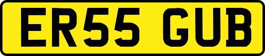 ER55GUB