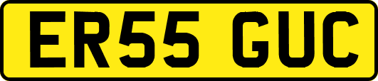 ER55GUC