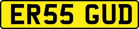 ER55GUD