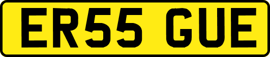 ER55GUE