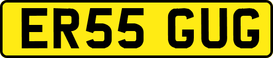 ER55GUG