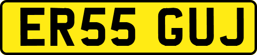 ER55GUJ