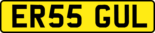 ER55GUL