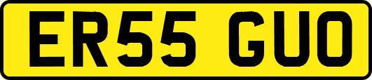 ER55GUO