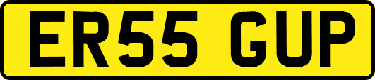 ER55GUP